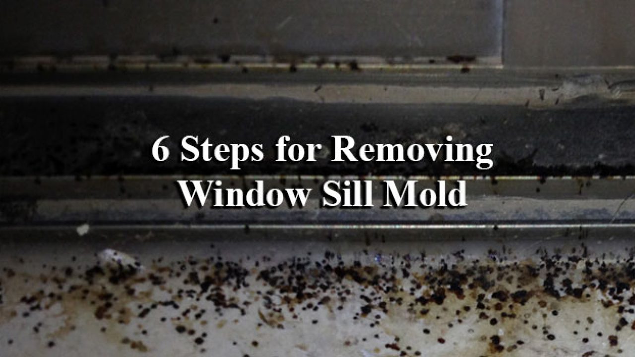 Removing Mold From The Window Sill Renewal By Andersen Of